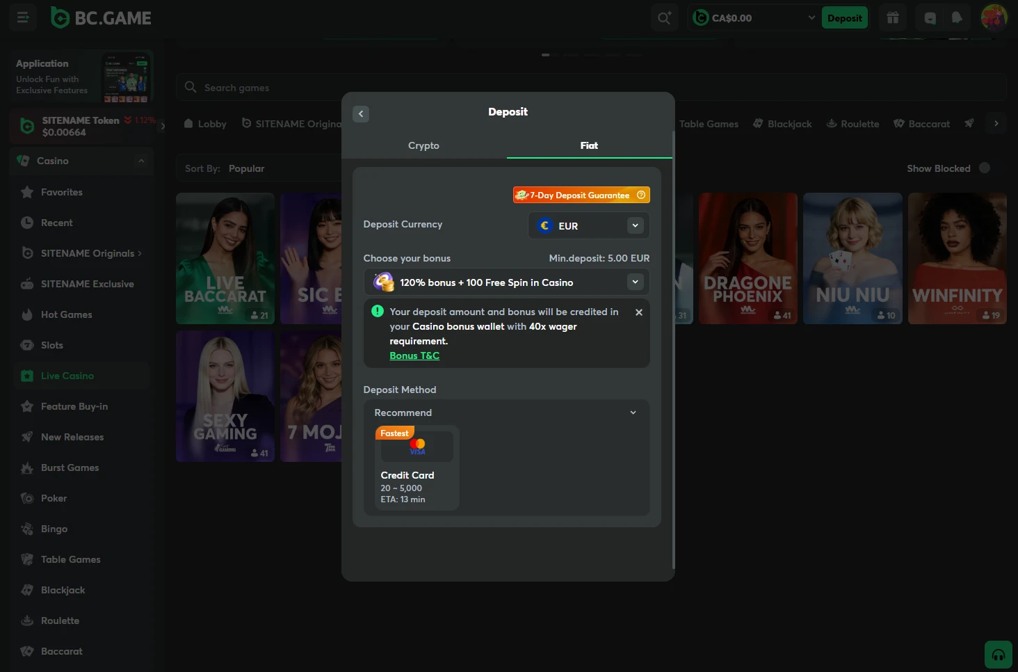 BC.Game Casino Cashier Desktop